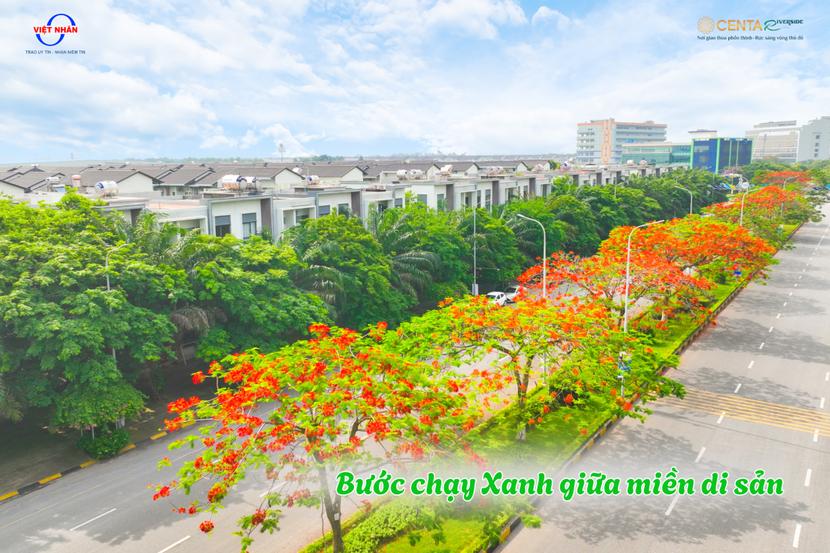 Centa Riverside - Cung đường Marathon tuyệt đẹp tràn ngập cây xanh 