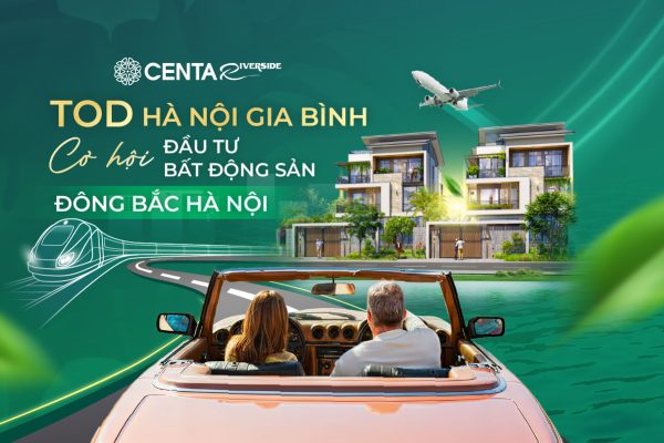 tod-ha-noi-gia-binh-anh-bia