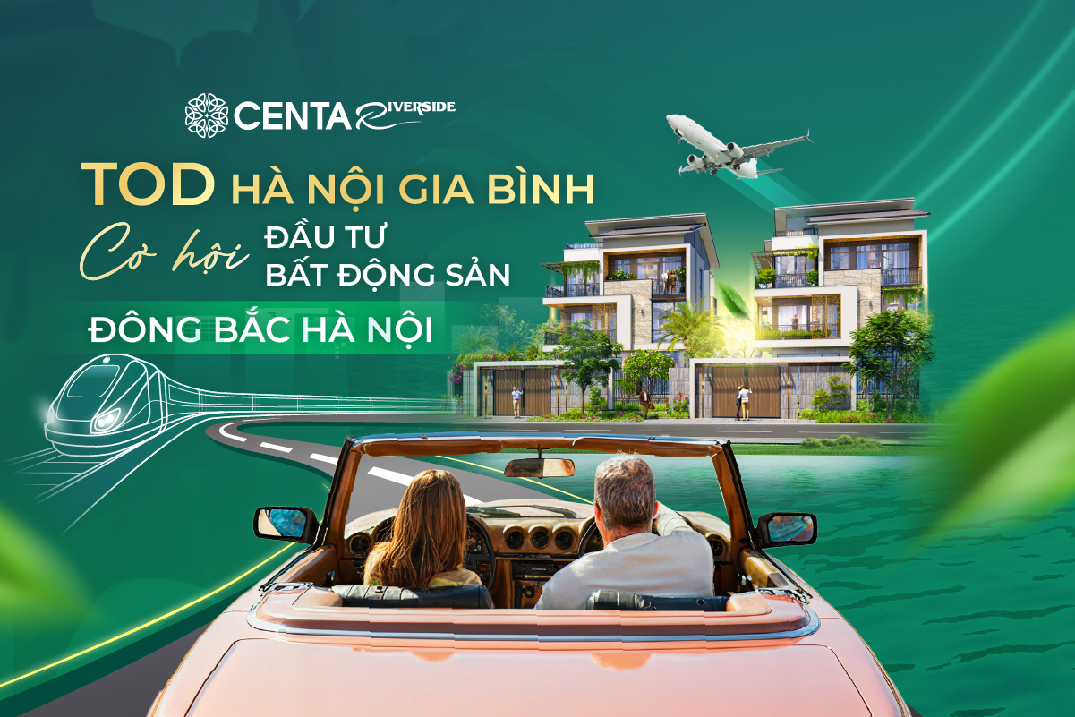 tod-ha-noi-gia-binh-anh-bia